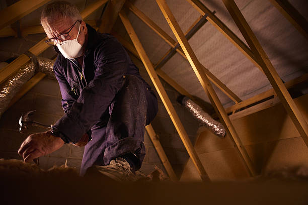 Best Specialty Insulation in Lake Mary, FL